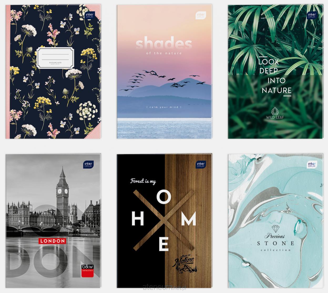 BRULION 96 A5 TW (ZESZYT)